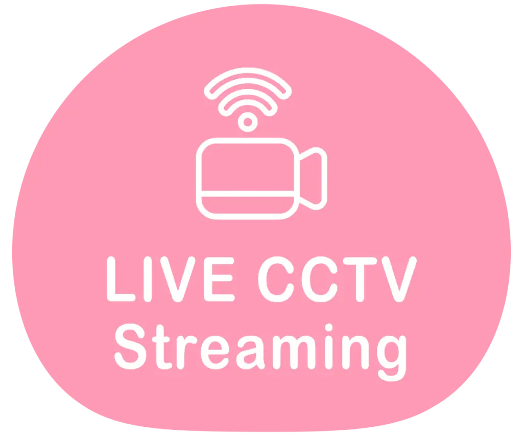 Admission 5 LIVE CCTV Streaming 00